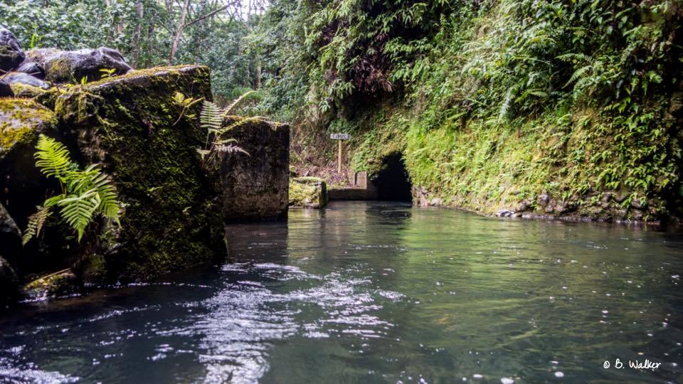 Kauai_tubing_tunnel